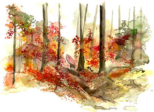 Autumn Portage No Longer Sold By Heron Dance